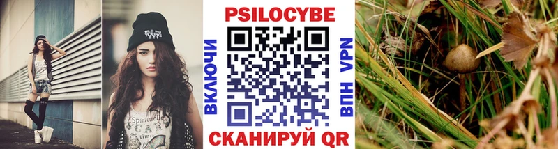 Псилоцибиновые грибы GOLDEN TEACHER  Сорочинск 