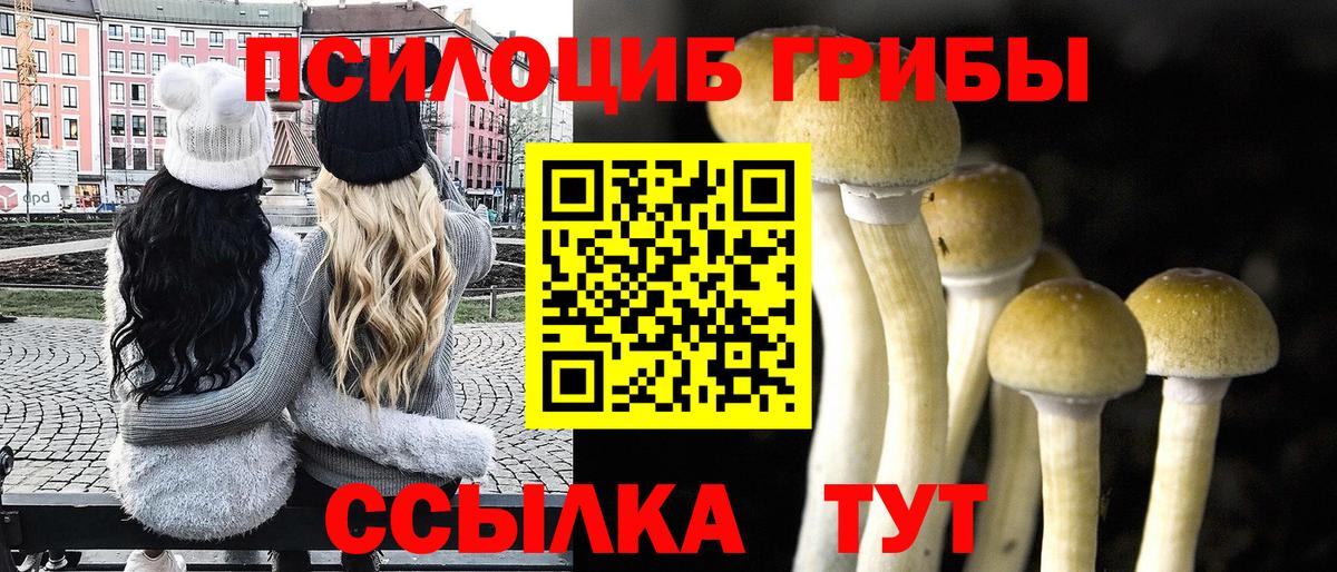 Сорочинск  Псилоцибиновые грибы ЛСД  Вход с VPN 