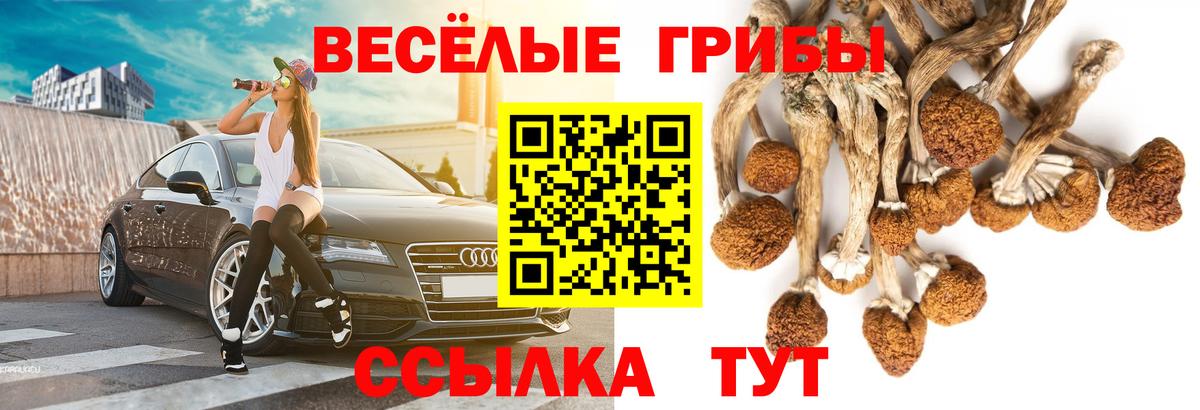 Галлюциногенные грибы MAGIC MUSHROOMS Сорочинск